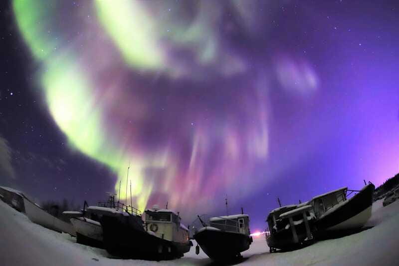 From Yellowknife: Northern Lights Bus Tour with Photos - Live guidance: what guides explain that you can actually use
