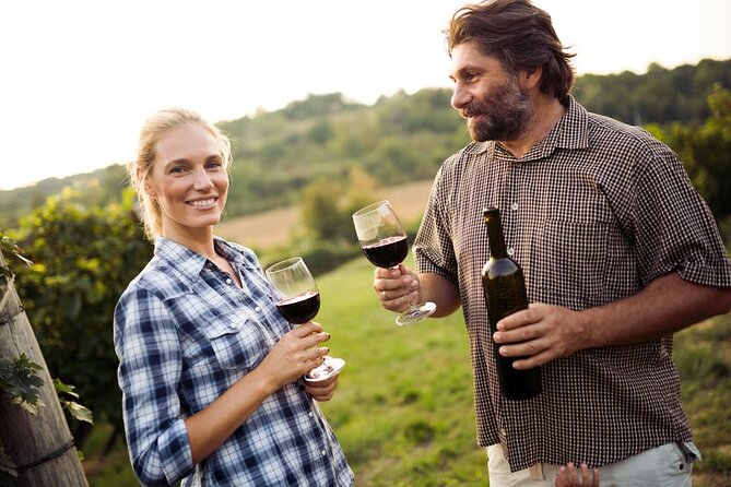 Full-Day Group Wine Tour (with cheese and charcuterie) in Niagara-on-the-Lake - The value of paying $153.95 instead of playing winery roulette