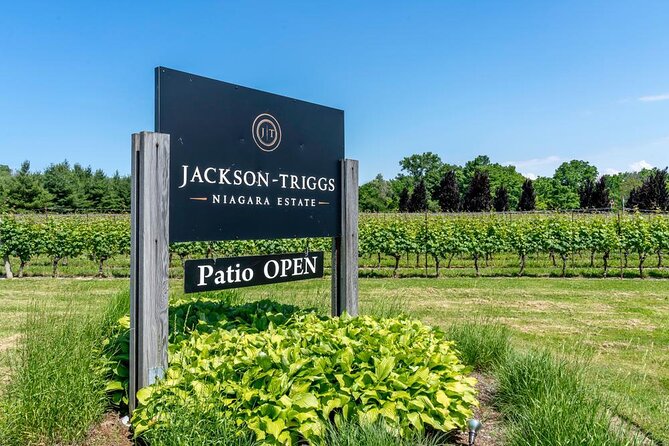Full-Day Group Wine Tour (with cheese and charcuterie) in Niagara-on-the-Lake - De Simone Vineyards: organic estate fruit and a winery-first philosophy
