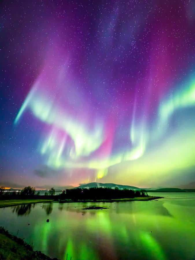 Full-Day Yellowknife Tour with Northern Lights/Aurora View - Price and value: $87 for a full Yellowknife day plus an aurora hunt