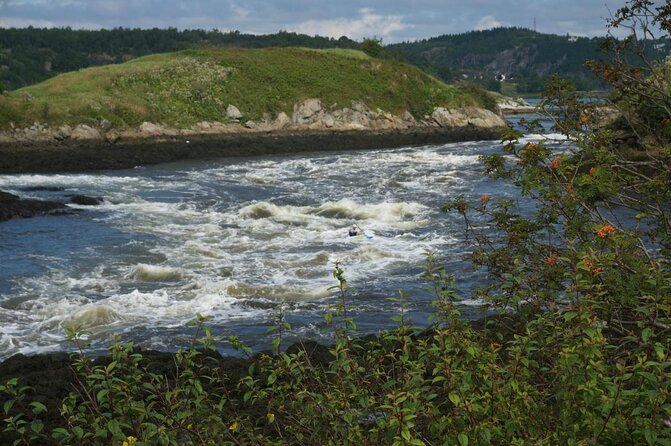 Fundy Coast to Fundy Shore Tour - Key highlights at a glance
