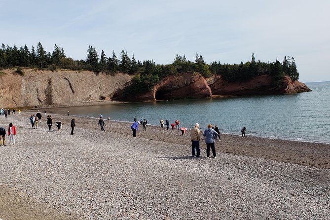 Fundy Coast to Fundy Shore Tour - Should you book this tour from Saint John?