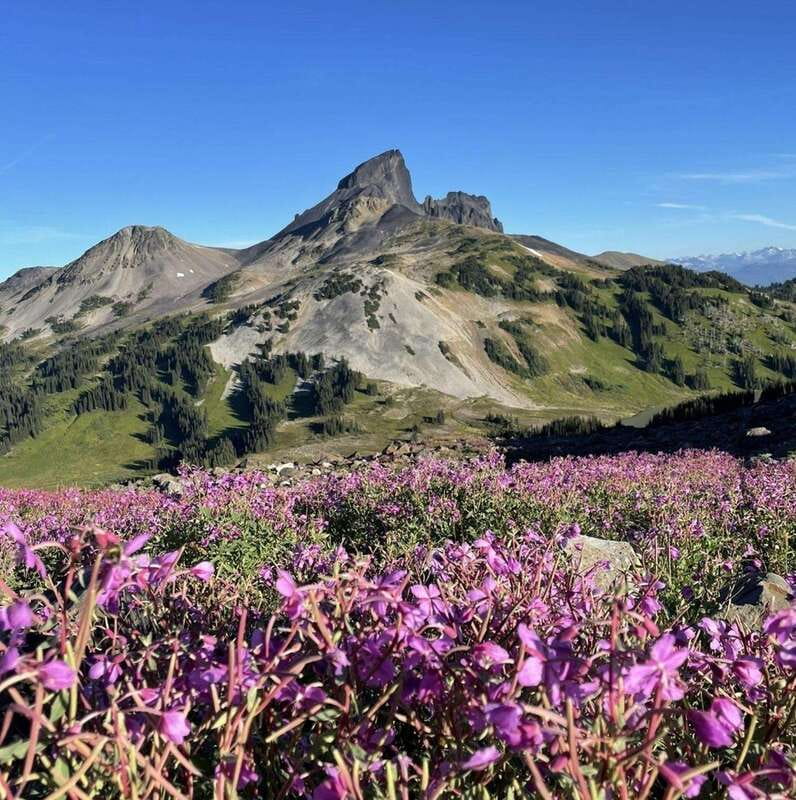 Garibaldi Park/ Panorama Ridge/ Hiking Day Trip - The Return Down: Same Trail, Different Viewpoints, Smarter Energy Use