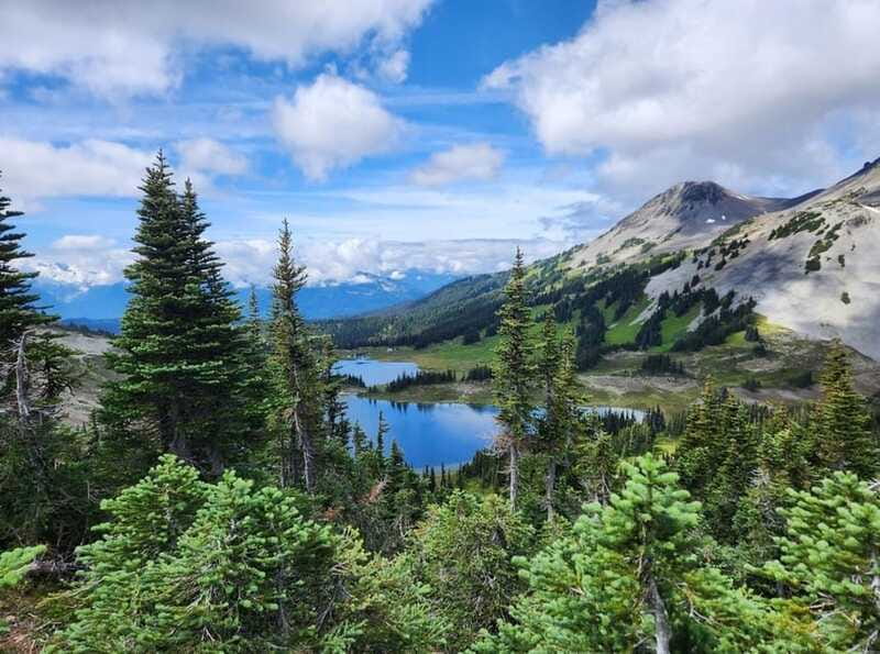 Garibaldi Park/ Panorama Ridge/ Hiking Day Trip - Price and Value at $475 Per Person