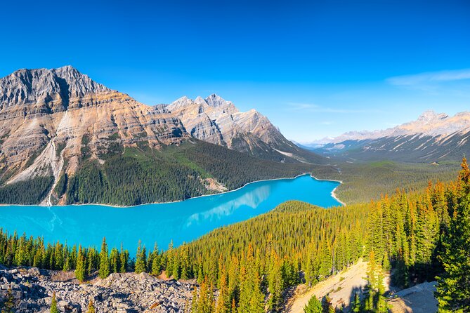 Glacier Adventure on the Icefields Parkway Hidden Gems Skywalk - The guide factor, including why Ollie gets name-dropped