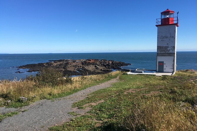 Go Fundy Tours - A cruise-day drive that works with the Bay of Fundy