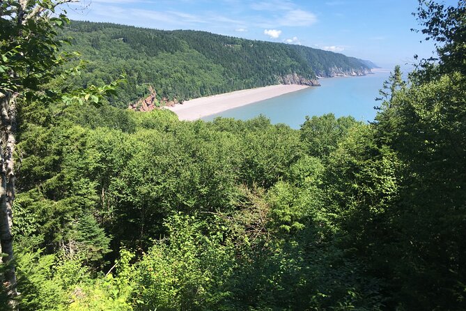 Go Fundy Tours - Coffee, snacks, and the one thing you must plan for