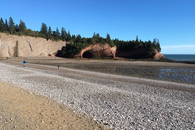 Go Fundy Tours - Guides who actually shape the day