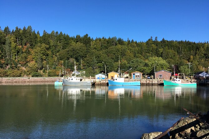 Go Fundy Tours - Price and value: what $195 buys you in real terms