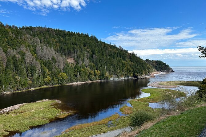 Go Fundy Tours - St. Martins Sea Caves: coastal views with a calmer pace