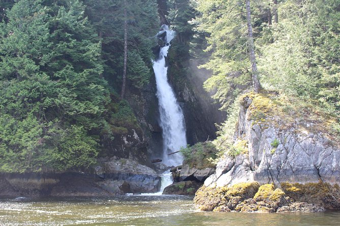 Granite Falls Zodiac Tour by Vancouver Water Adventures - Price and value: is $104.60 a fair deal?