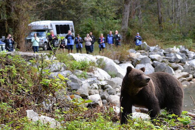 Great Bears of Bute: Grizzly Bear Viewing & Indigenous Cultural Tour - Orford Bay and the transfer into grizzly territory