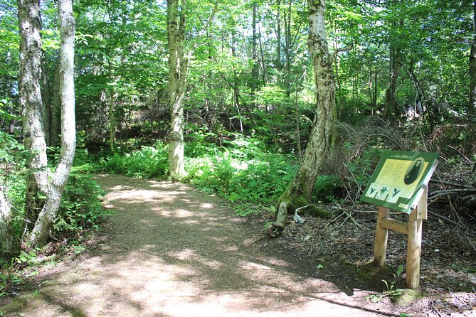 Green Gables House & Our Island Experience - Prince Edward Island National Park: the 15-minute cliff view that teaches scale