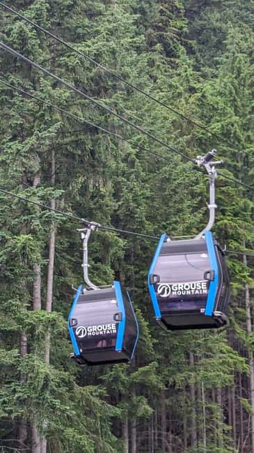 Grouse Mnt+StanleyPark+Hatchery+Cleveland Dam+LynnCanyonTOUR - Grouse Mountain Skyride Gondola and the grizzly-bear experience