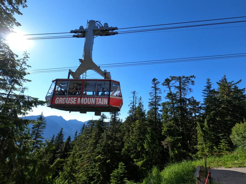 Grouse Mnt+StanleyPark+Hatchery+Cleveland Dam+LynnCanyonTOUR - Cleveland Dam and Capilano Lake: quick panoramic photo power