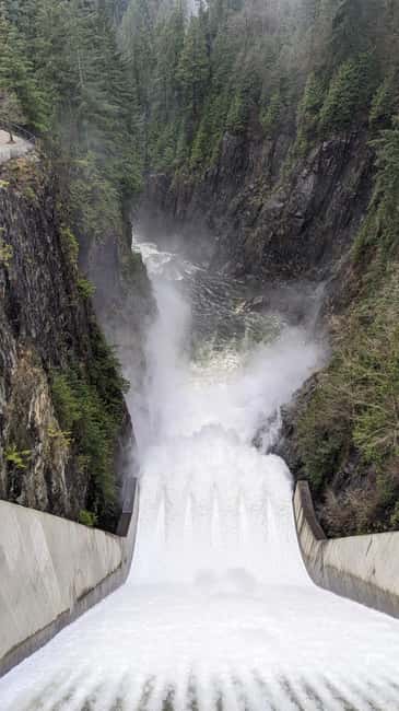 Grouse Mnt+StanleyPark+Hatchery+Cleveland Dam+LynnCanyonTOUR - Price and value: what $145 covers on a full North Shore loop