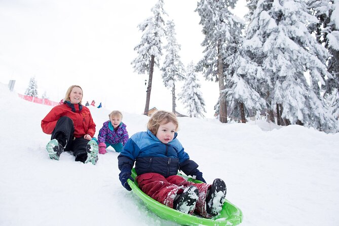 Grouse Mountain Admission Ticket - Wildlife Refuge talks and the grizzlies, Coola and Grinder