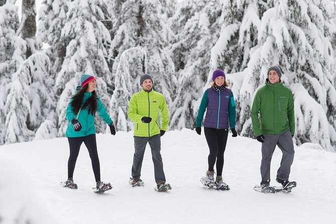 Grouse Mountain Admission Ticket - Summer days: Lumberjack Show, Birds in Motion, and ranger talks