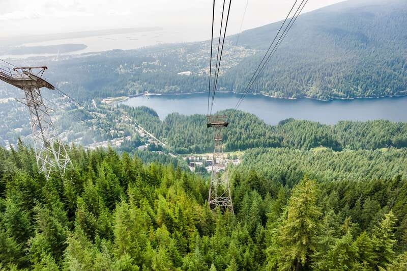 Grouse Mountain, Capilano Bridge & Fish Hatchery Tour - Capilano Suspension Bridge Park: bridge walk plus Cliffwalk and Treetops
