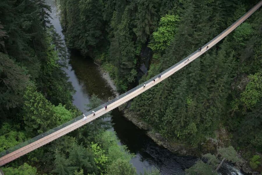 Grouse Mountain, Capilano Bridge & Fish Hatchery Tour - Old-growth forest vibes and the Story Centre stop