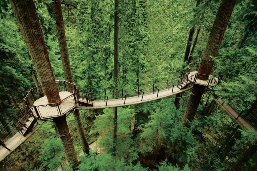 Grouse Mountain, Capilano Bridge & Fish Hatchery Tour - Price and value: $192 for admissions, guides, and transport