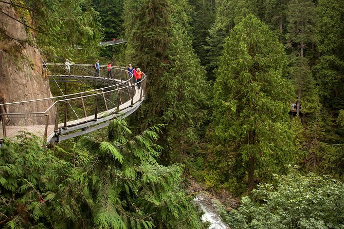 Grouse Mountain & Capilano Bridge Tour with Fish Hatchery - Who should book this tour, and who should consider alternatives