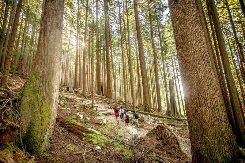 Grouse Mountain Skyride Admission Ticket - Year-round included experiences: Kids Tree Canopy Adventure and Theatre in the Sky