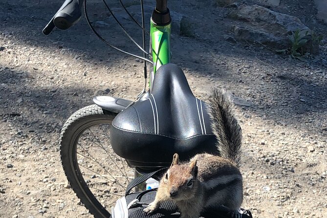 Guided Bike Tour on Historical Kettle Valley Railway at Myra Canyon & Wine Tour - Cycling Myra Canyon: Trestles, Tunnels, and Those Big Okanagan Views