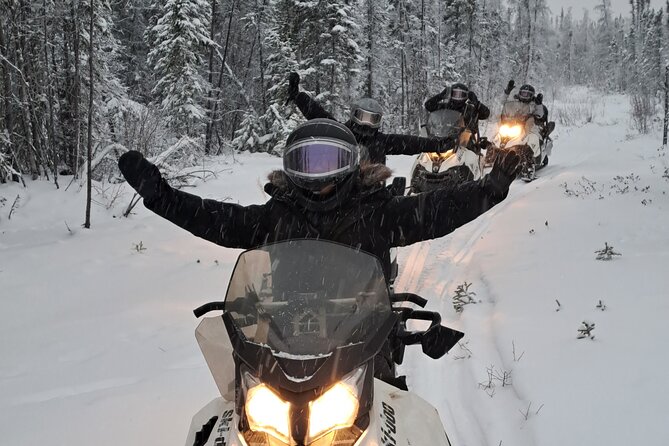 Guided Snowmobile Adventure - The Snowmobile Itself: What You Ride and Why It Feels Manageable