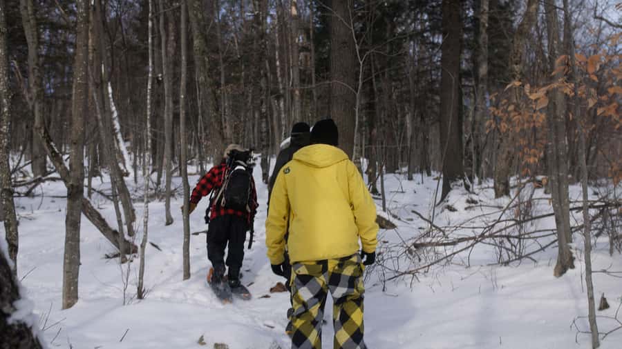 Guided Snowshoe Tour in Mont-Tremblant - Price and Value: Is $64 Worth Two Hours?