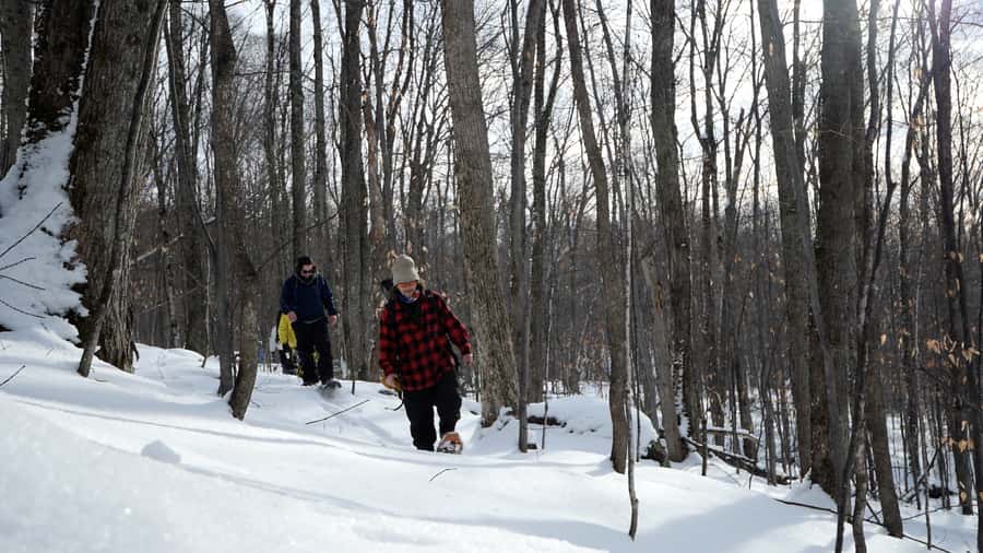 Guided Snowshoe Tour in Mont-Tremblant - Getting There: Parking, Walking In, and the Activity Centre at the Base
