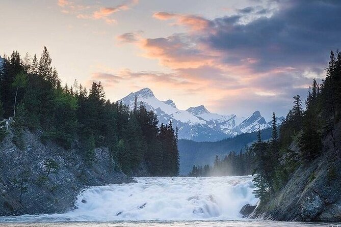 Guided Tour to Banff Highlights & Wildlife With Gondola Admission - How the dusk-focused drive boosts your wildlife odds