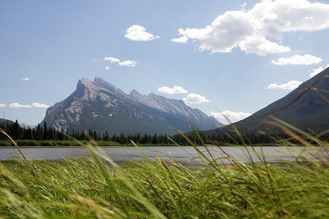 Guided Tour to Banff Highlights & Wildlife With Gondola Admission - Surprise Corner: Tunnel Mountain framing and that castle-in-the-sky look
