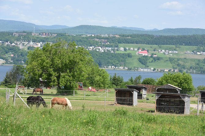 Half-Day Trip to Montmorency Falls and Ste-Anne-de-Beaupré from Quebec city - Albert Gilles Copper Art & Museum: quick stop, hands-on appreciation