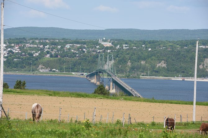 Half-Day Trip to Montmorency Falls and Ste-Anne-de-Beaupré from Quebec city - Price and value: is $70.53 for this half-day a fair deal?