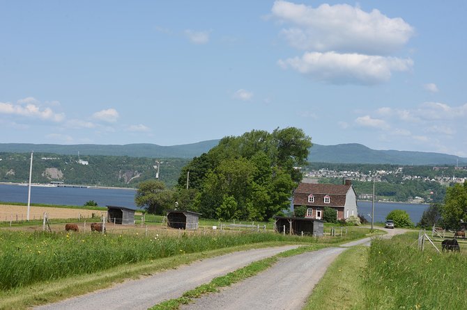 Half-Day Trip to Montmorency Falls and Ste-Anne-de-Beaupré from Quebec city - Choosing the right departure: daylight, weather, and photo goals