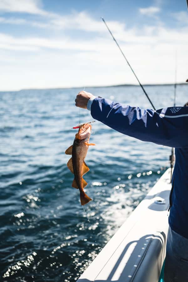 Halifax: 2-Hour Deep Sea Fishing Tour - Carter and the On-Board Coaching Style You Want on a Short Trip