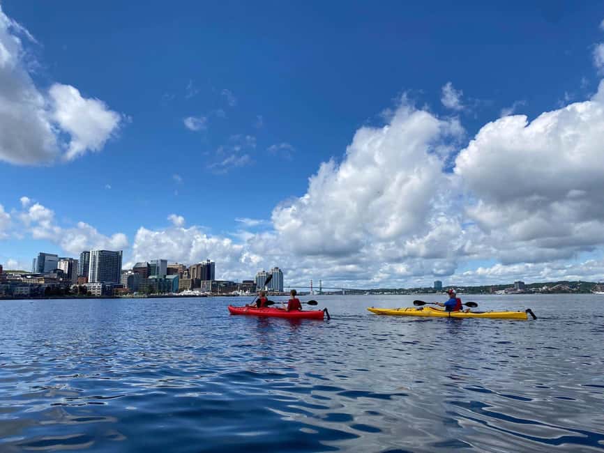Halifax: Guided Kayak Tour with Multiple Options - Quick hits before you paddle