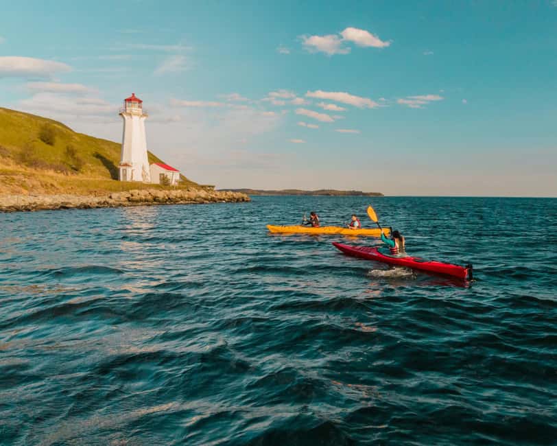 Halifax: Guided Kayak Tour with Multiple Options - Why Halifax Harbour is perfect for kayaking