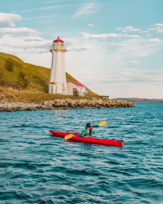 Halifax: Guided Kayak Tour with Multiple Options - Choosing the right option: sunrise, lunch, classic, or sunset