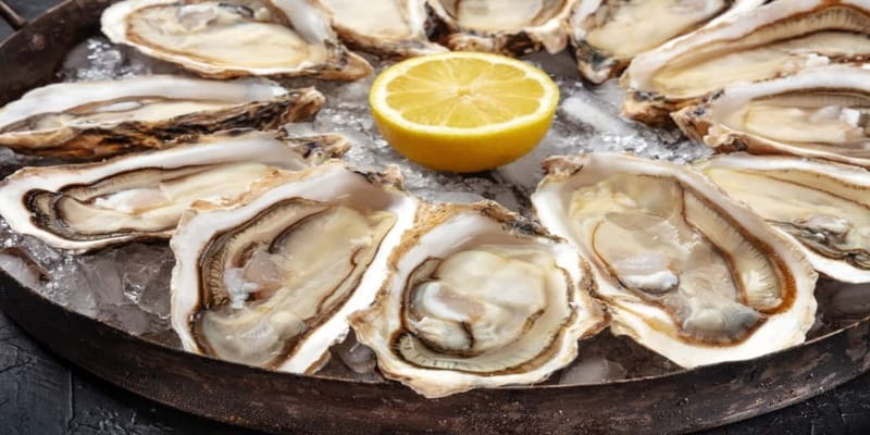 Halifax Harbourfront Food Walking Tour - Starting Outside the Halifax Marriott: Quick, Easy, and Central