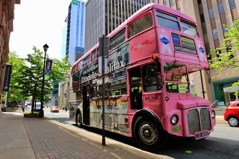 Halifax: Hop-on Hop-Off Double Decker Bus City Tour - Buses, Comfort, and What You Should Bring