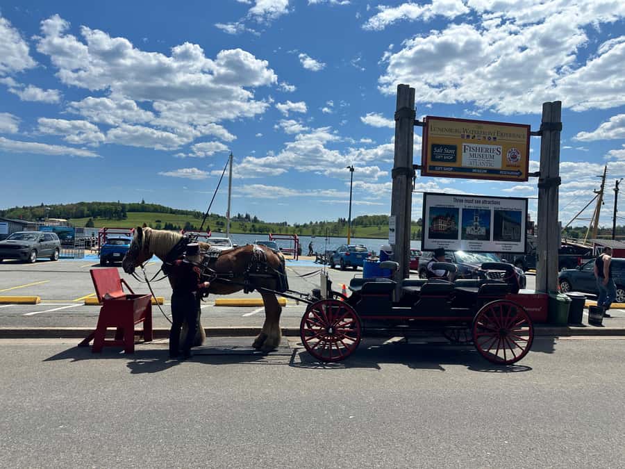 Halifax: Lunenburg and Mahone Bay Private Tour - Mahone Bay in about 30 minutes: Three Churches and artisan browsing