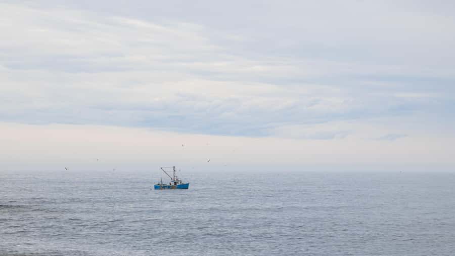 Halifax Small-Group Express To Peggy’s Cove - Price and value: what $79 per person is really buying