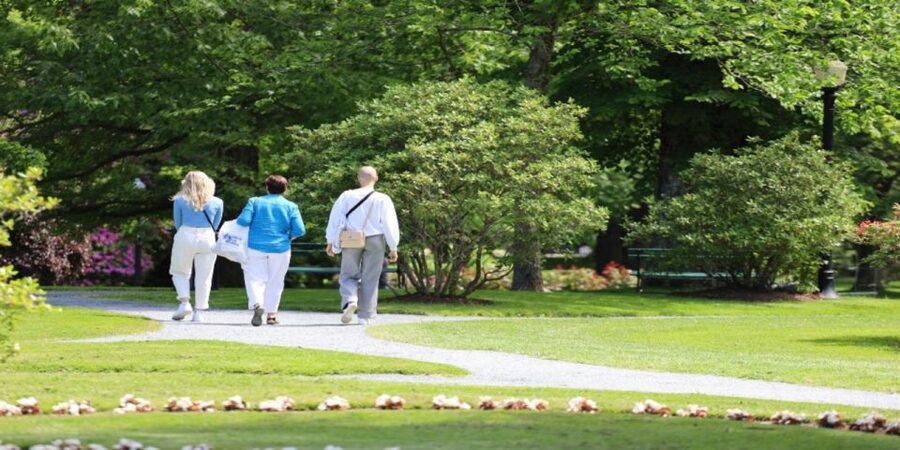 Halifax: Small Group Walking Tour with Citadel & Museum - Small group size and why it matters