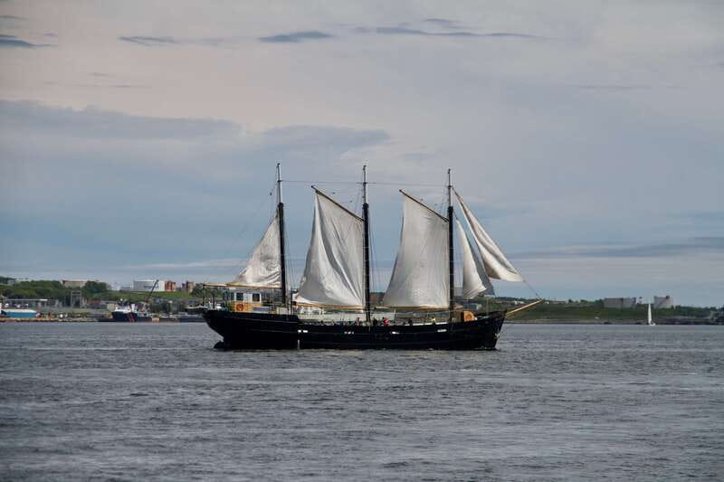 Halifax: Tall Ship Harbor Sailing Cruise with Live Music - Tall Ship Silva: what makes this Halifax sailing cruise feel different