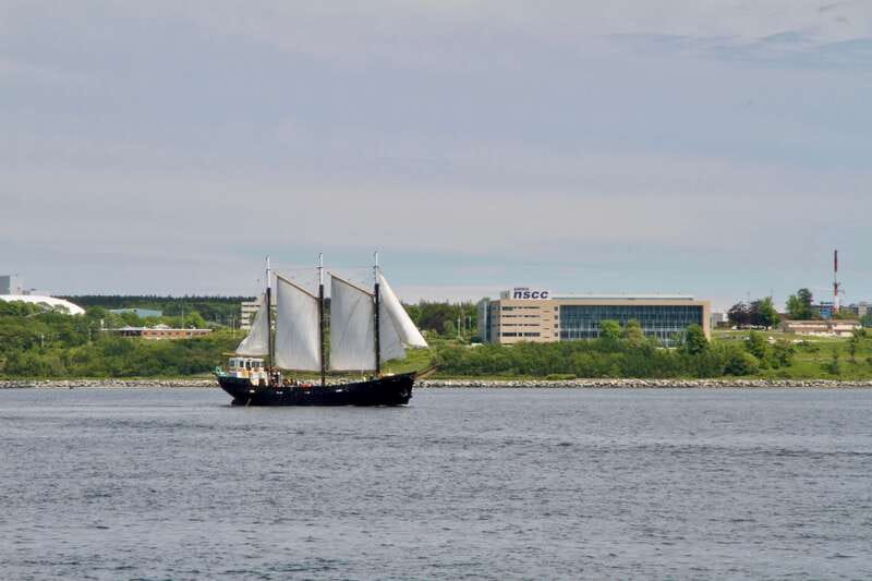 Halifax: Tall Ship Harbor Sailing Cruise with Live Music - What the 2-hour schedule feels like in real life