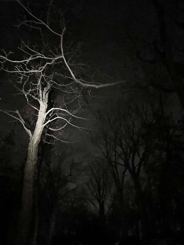 Haunted Mountain Ghost Walking Tour - The haunted hospitals, castles, and cemeteries you pass along the way