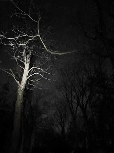 Haunted Mountain Ghost Walking Tour - Who should book Haunted Mountain Ghost Walking Tour
