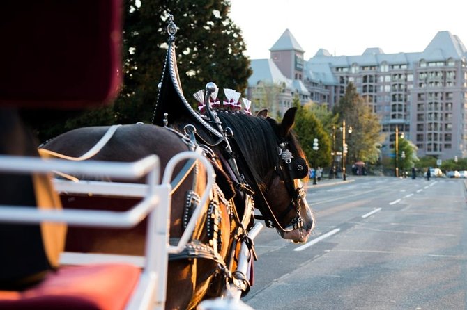 Heritage Horse-Drawn Carriage Experience in Victoria - Key highlights worth your attention